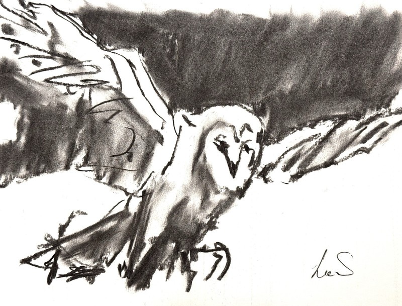 Original Abstract Expressionism 9X12 Flying Owl Charcoal Handmade Signed 11 gallery