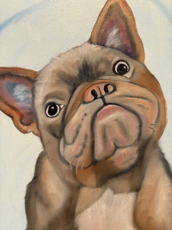 Original oil painting 11 x 14 inch French Bulldog with sassy attitude gallery