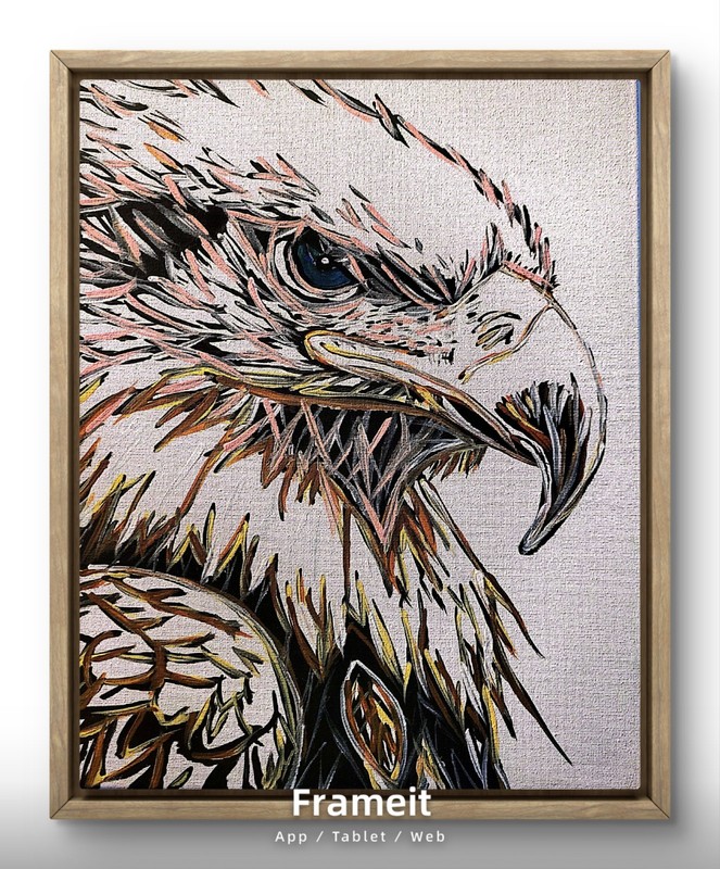 D Cook EXPRESSIONISM 14X11 Eagle ABSTRACT ORIGINAL ART MODERN HOME