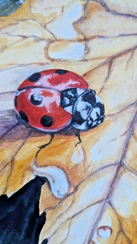 Autumn Golden Orange Leaf with Ladybug Watercolor Painting Seasonal Fall A4 Art gallery