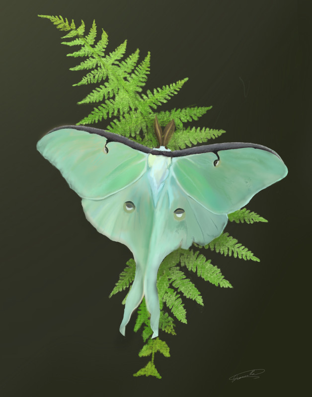 ART PRINT Witchy Luna Moth Green Fern Leaf Bug Cottage Core Oil Painting 8.5×11