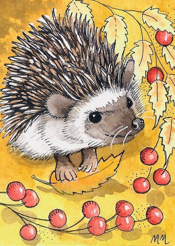 ACEO Limited Edition – Heggie Hog print of Original watercolor by Monica Minto