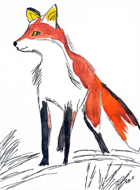 Fox 14X11 Expressive Sketch Painting Watercolor Fine Art Gallery Paper Signed gallery