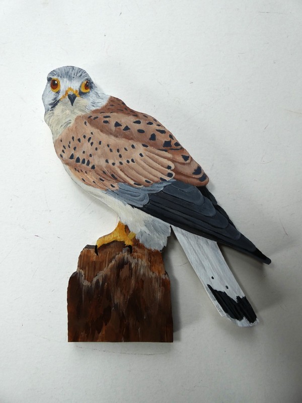 Hand Painted American Kestrel Bird – Wall Art By Phyllis