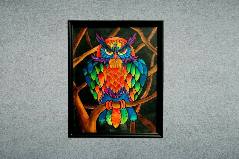 Canvas Wall Art Modern Decor 100% Hand Painted,OWl Night,living room(with frame)