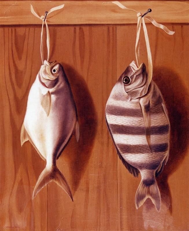 Oil painting still life animals Dollar-Fish-and-Sheephead-William-Aiken-Walker