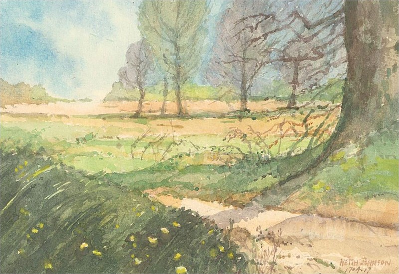 Keith Johnson (1931-2018) – 2017 Watercolour, Yellow Wildflowers