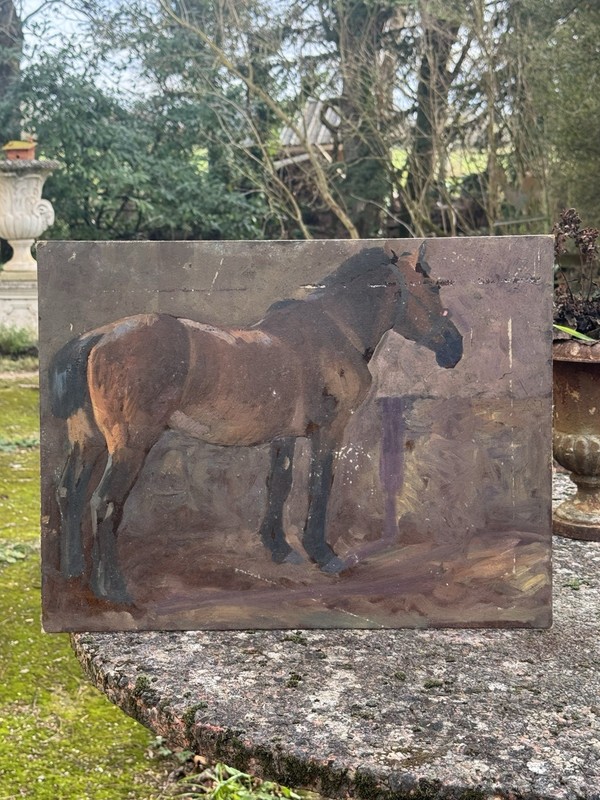 Study Of Horse – Painting End Of The 19th Century – Horses – Equestrian