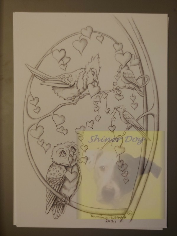 Valentine LOVE Coloring Cards~15 Pack~BIRD~OWL~5 x 7~CUTE~whimsical~BIRDS
