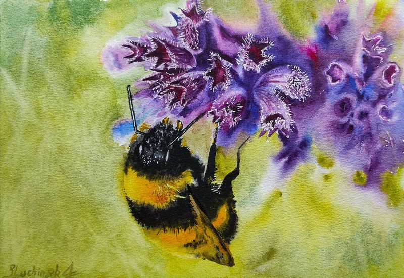 Bumble Bee Painting Watercolor Original Art Insect Artwork Purple Wall Art