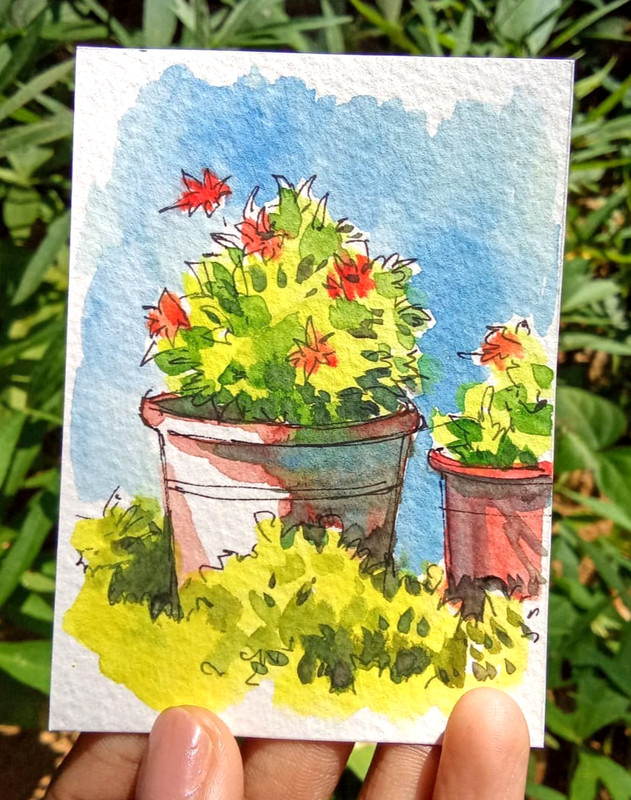 ACEO Original OOAK Watercolor Art Potted Garden Plants Botanical Floral Mini Art