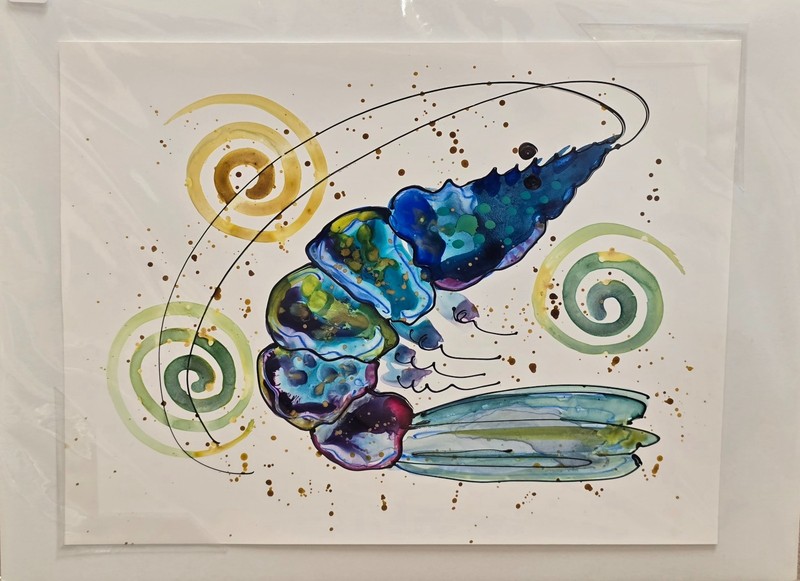 Elizabeth Huffmaster Shrimp Watercolor on Yupo Paper