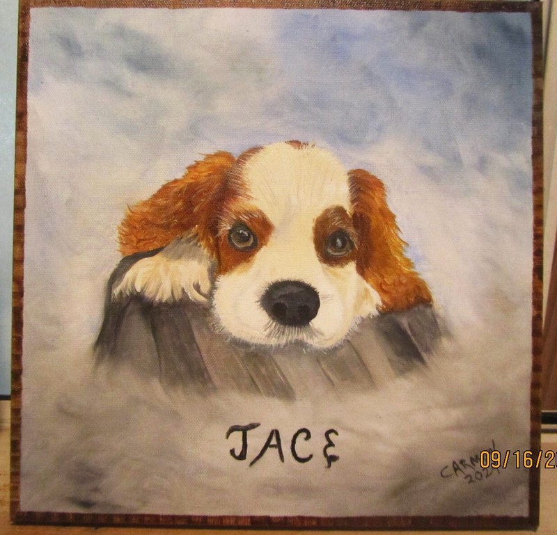 A PORTRAIT OF YOUR DOG, YOUR PHOTO, SATISFACTION GUARANTEED gallery