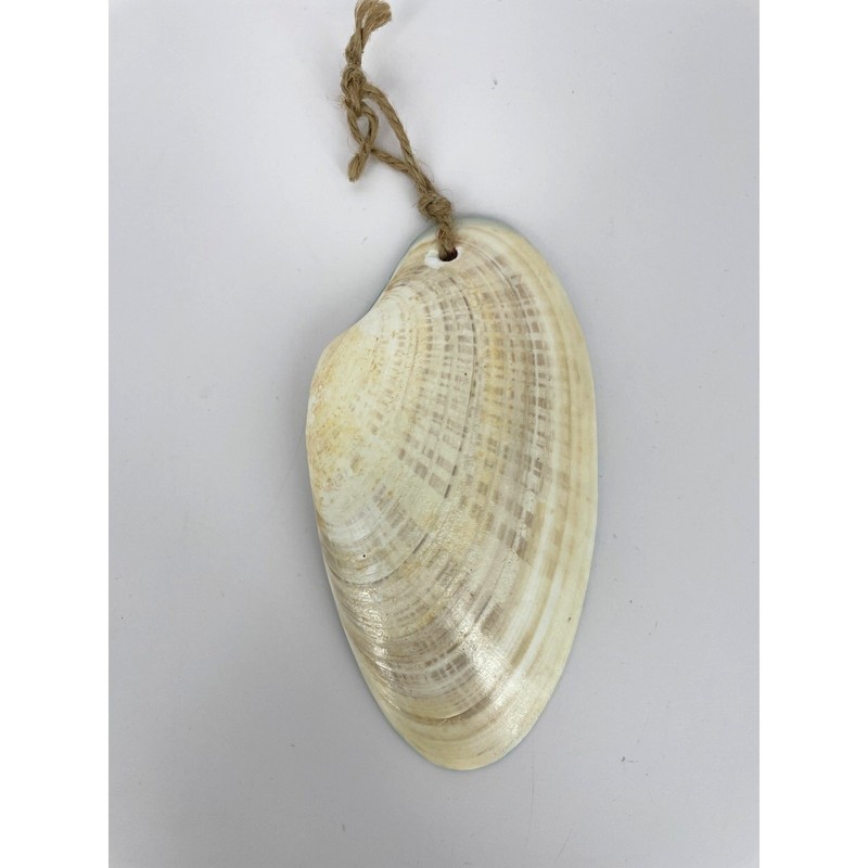 Handpainted Sea Shell Flowers Goldfish Signed 6" gallery