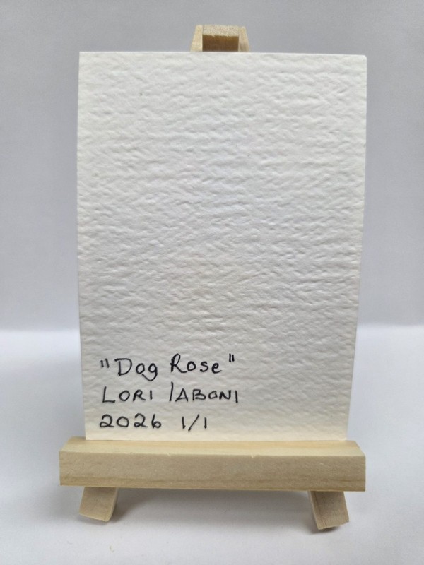 aceo original painting acrylic ATC flowers roses "Dog Rose" gallery