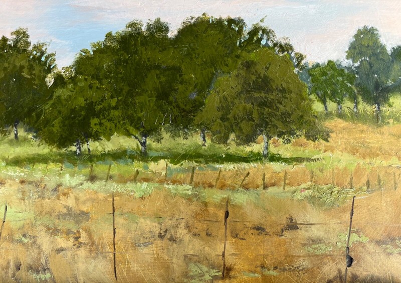 Original Oil Landscape painting. «Pasture Oaks» 12.75″X19.5″ Unframed