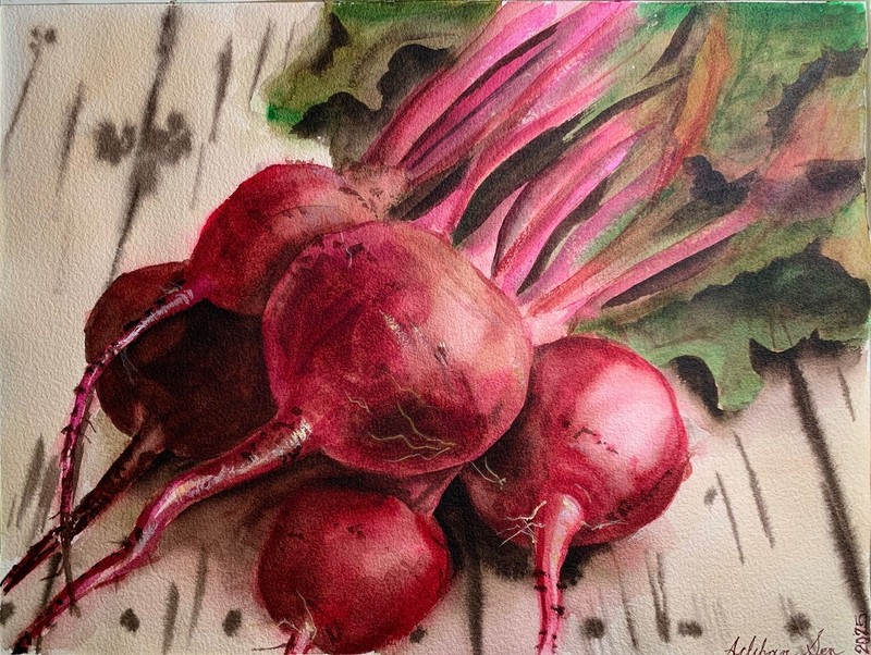 Original watercolor painting Beets kitchen art vegetable food colorful artwork