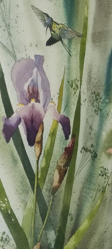Original Artwork Watercolor Painting Purple Iris Hummingbird Signed John Stengel gallery