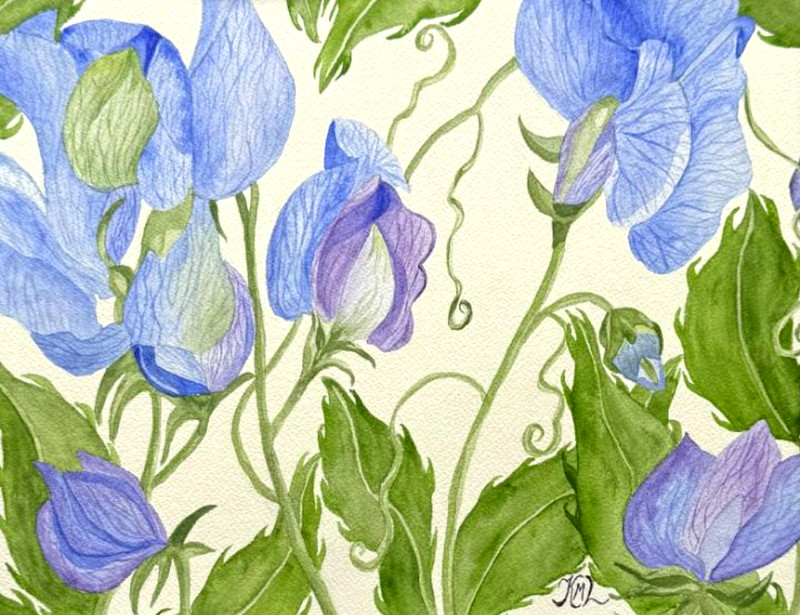 PAINTING WATERCOLOR BLUE PURPLE GREEN SWEET PEA FLOWERS 11X14 & DOUBLE MAT 16X20