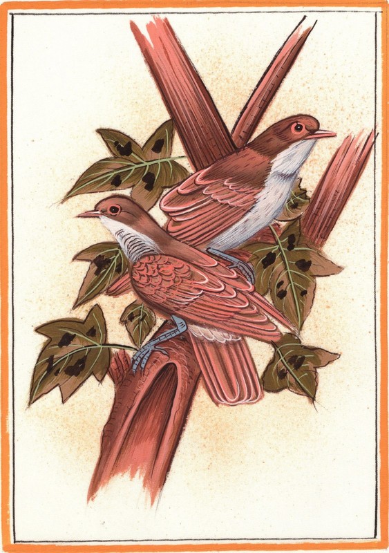Bird Decor Silk Painting Handmade Indian Miniature Ethnic Wild Life Nature Art