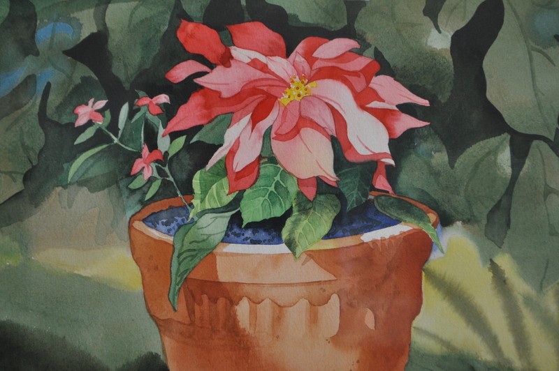 Original Laguna Beach Watercolor Painting – Poinsetta – Robin Wethe Altman