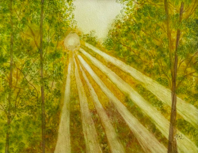PAINTING WATERCOLOR 11X14 AND WHITE MAT 16X20 FOREST TREES SUNRISE SUN LANDSCAPE