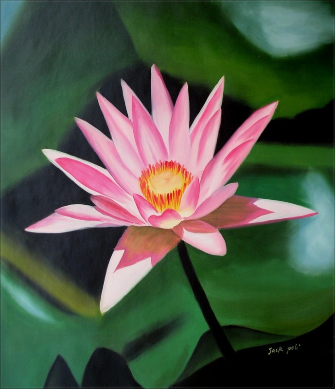Single Pink Water Lily, Quality Hand Painted Oil Painting 20x24in gallery
