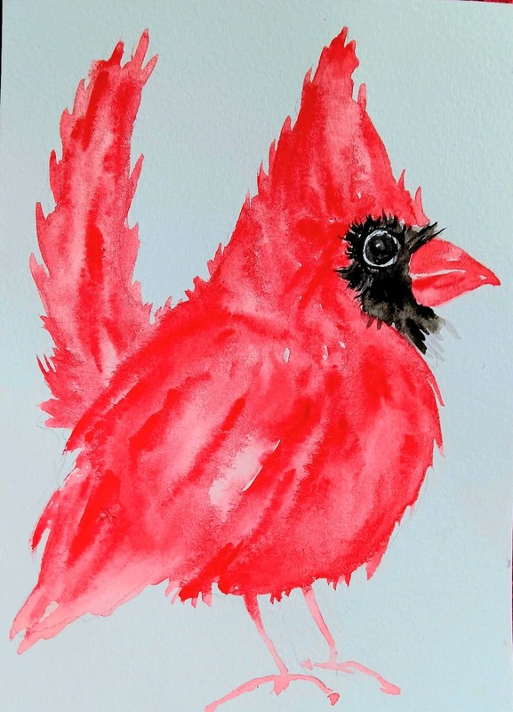 Bird art,original Watercolor painting red Christmas cardinal bird unique gift gallery