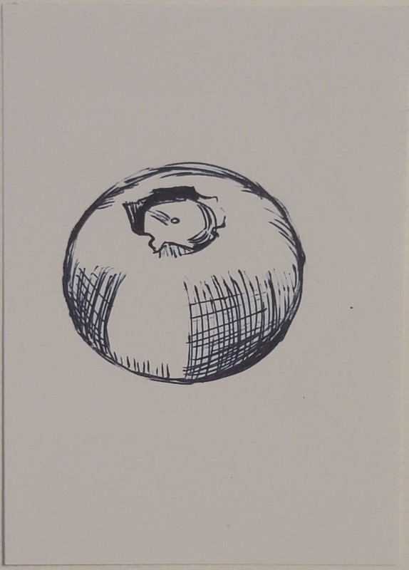 ACEO Original Blueberry Fruit Mini Art Pen Sketch