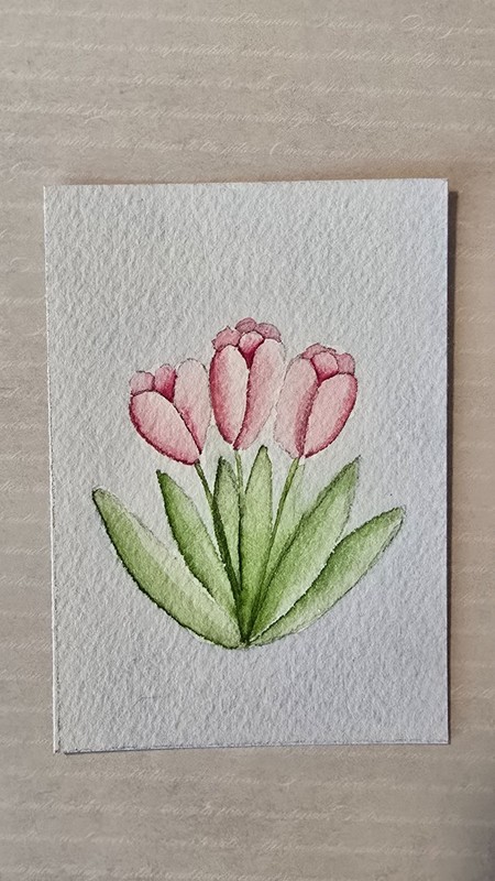 «3 Pink Tulips» feminine coquette cute ACEO art card original by Cassandra Lyon