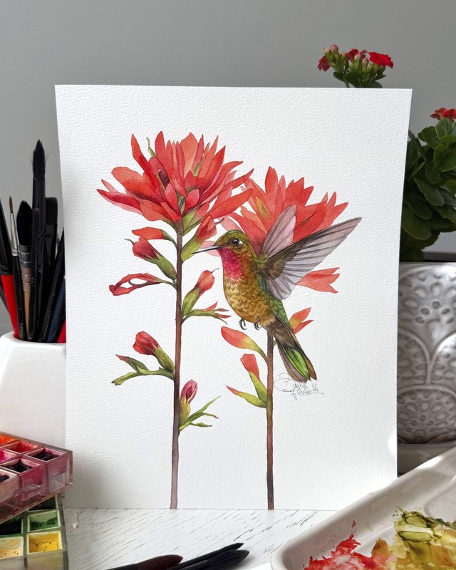 Original Watercolor Hummingbird and Red Flowers 8x10 Painting Unique Artwork gallery