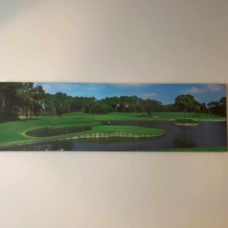 Steve Vaughan Signed Golf Course Landscape Acrylic Painting on Canvas