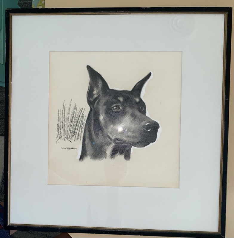 Original Dog Painting DOBERMAN PINSCHER Will Rannells (1892–1982) Illustration gallery