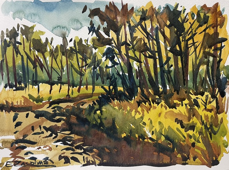 Enrique Zaldivar, Original Watercolor Painting, Landscape, Forest, Path