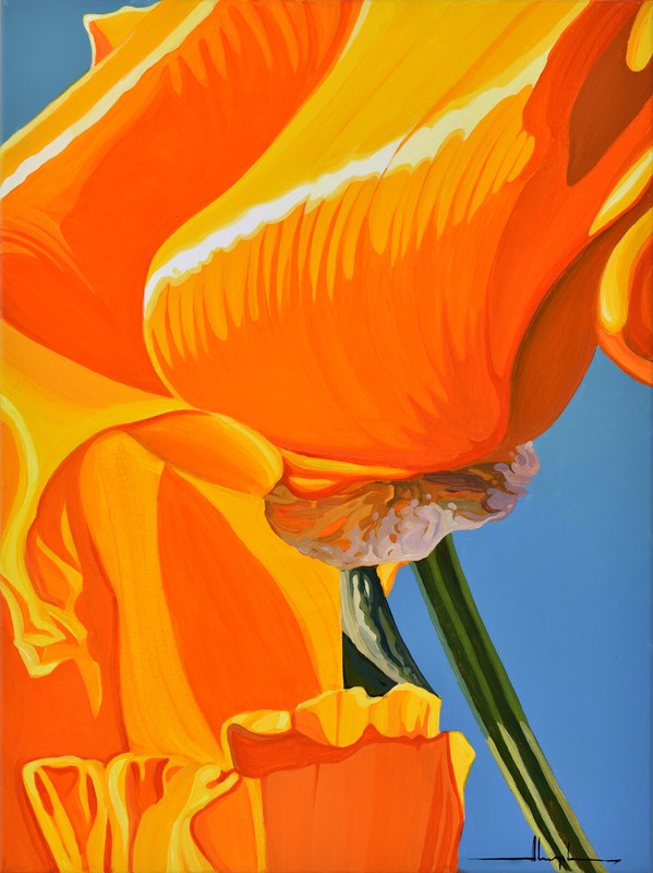 Alex Nizovsky — CALIFORNIAN POPPY #8 — Modern / Pop Art Floral Painting 18″x24″