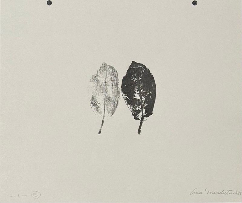 Ana Mendieta Cuban Artist Ink On Cardboard