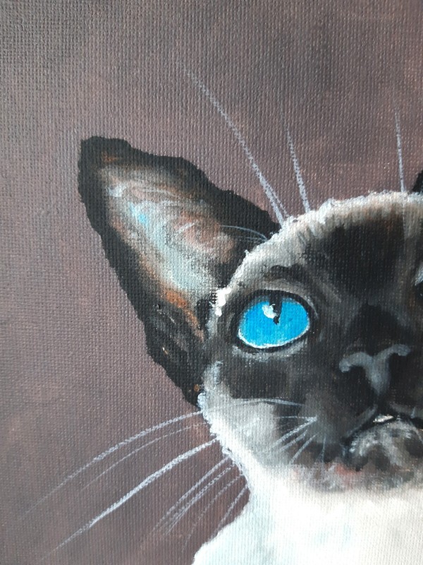 Siamese Cat Original Painting Pet Art Cat Blue Eyes Oil Artwork 12 by 9 . gallery