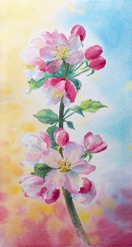 Apple Blossom watercolor Original painting Floral Watercolor OOAK painting