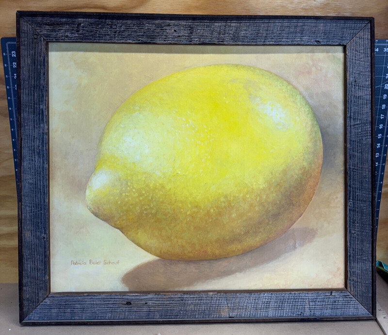 Original Painting Patricia Boldt Schaaf LEMON Signed Framed 31″x27″ South Dakota