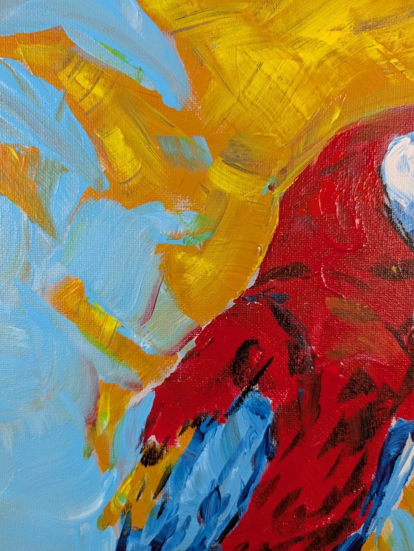 Scarlet Macaw Parrot 11x14 Painting Fauvist Tropical Red Yellow Canvas SWhite gallery