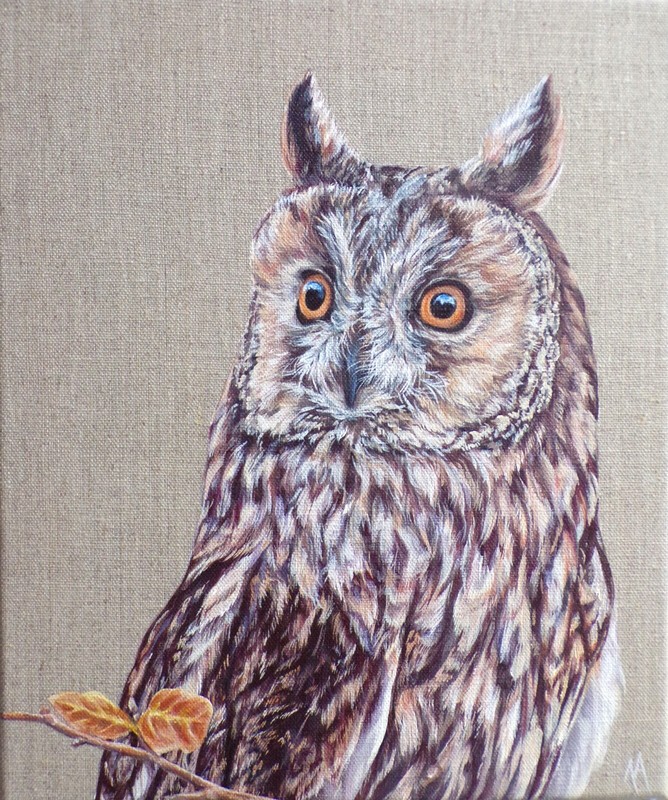 Long Eared Owl – Original Painting by Alison Armstrong – Wildlife /Animal Canvas