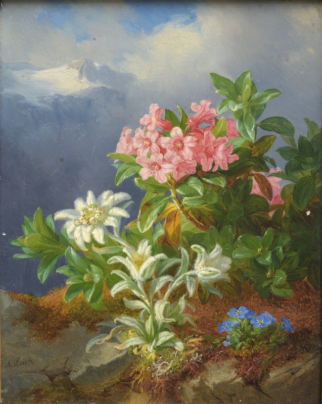 Andreas Lach (Austrian, 1817-1882) Alpine Flowers, original oil on board