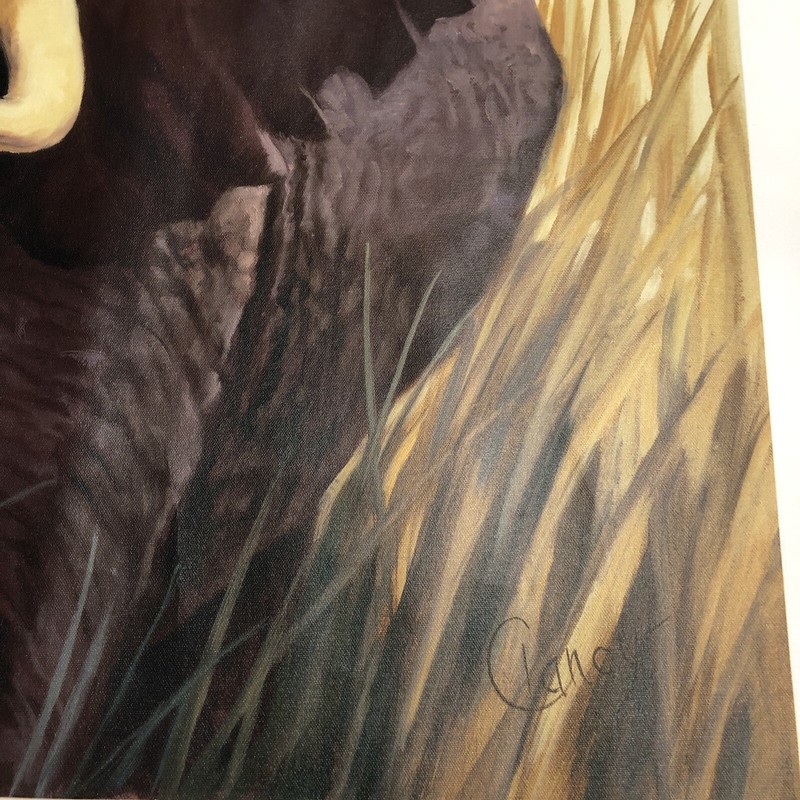 International Galleries Giclee Print Canvas Elephant Painting C. Cherry 29X39” gallery