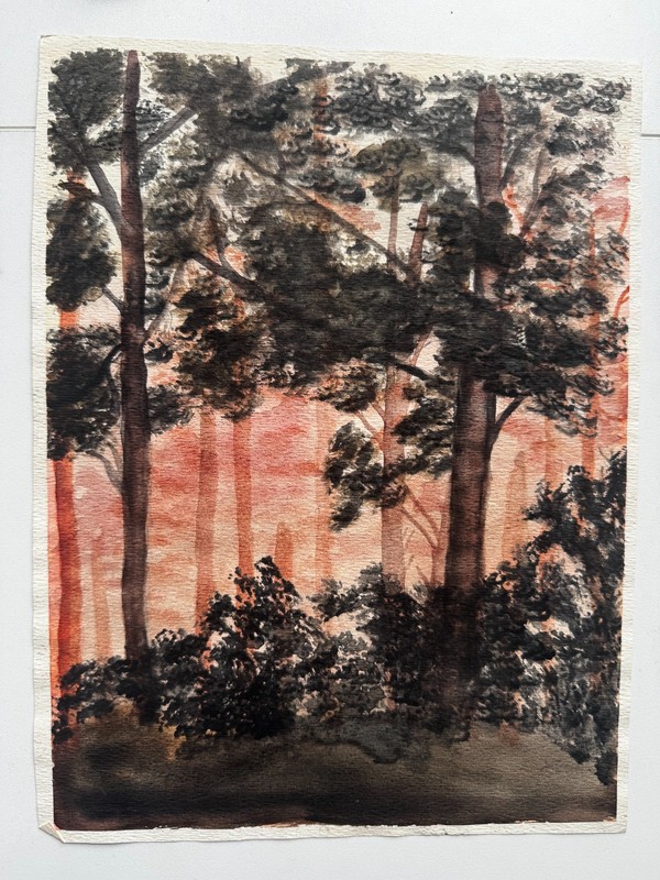 Vintage 1960s Watercolor Painting Nature Trees Browns Red Landscape 1950s 8 x 11