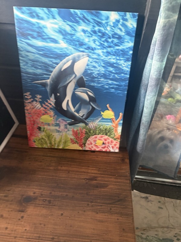 Orca Dolphins Ocean Scene Realism Medium Canvas Painting Unframed 30x40cm