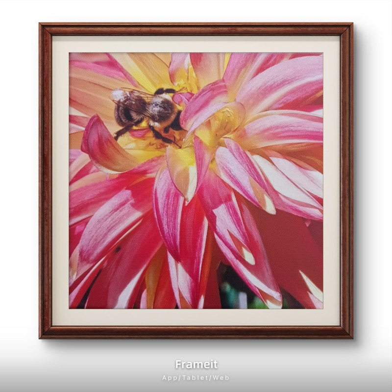 Original Flower Bumblebee Photo Art Enhanced Acrylic Unframed by Charlene Slie gallery