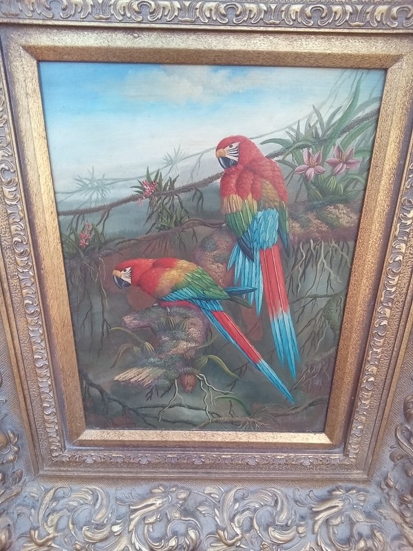 Beautiful Parrot Painting On Board With Beautiful Ornate Frame