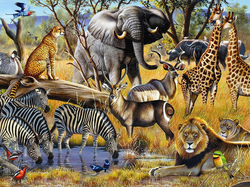 African sunset wildlife oil painting Giclee art HD Printed on canvas L3482