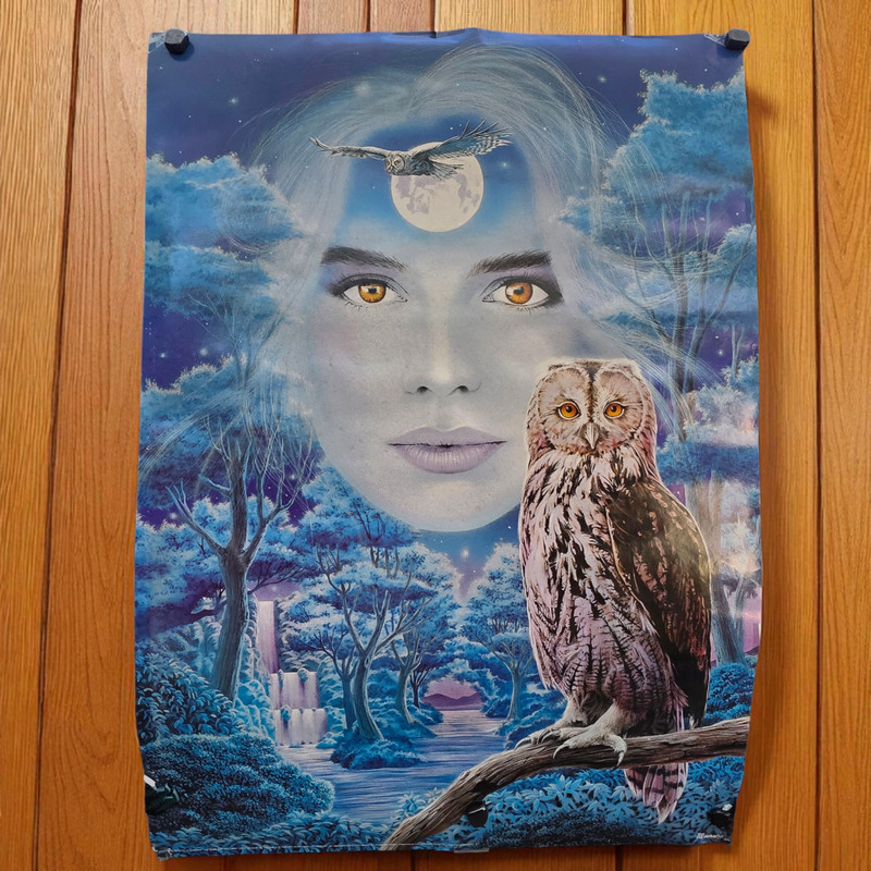 VINTAGE 1992 VERKERKE BLUE POSTER NATIVE AMERICAN WOMEN & OWL