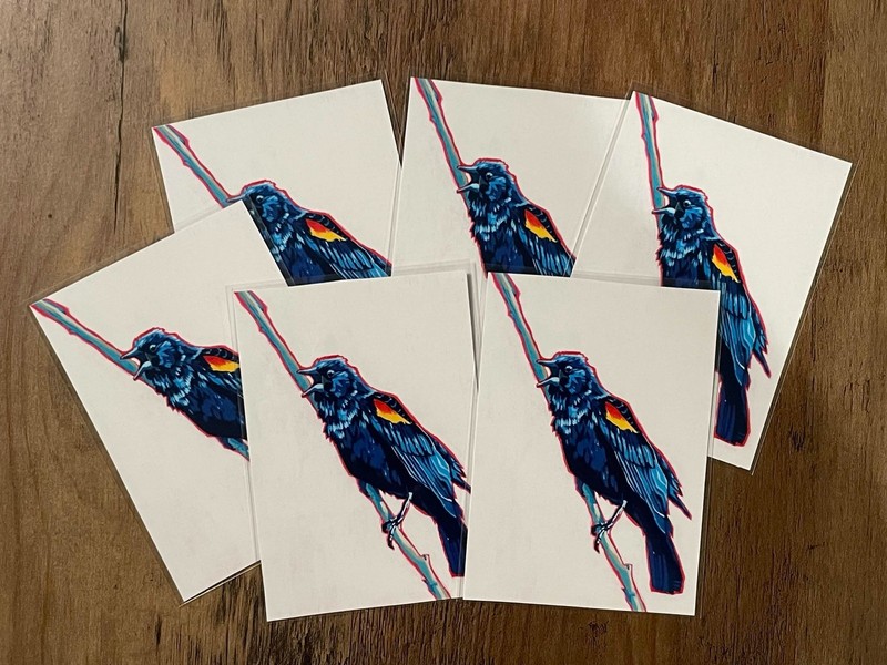 ACEO Red Winged Black Bird PRINTS gallery